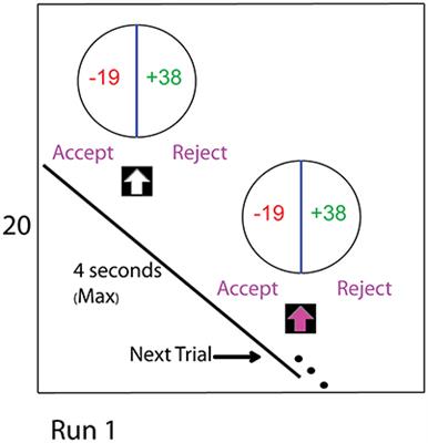 The Effect of Wealth Shocks on Loss Aversion: Behavior and Neural Correlates